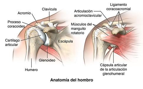 PATOLOGÍA DEL HOMBRO